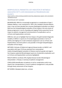 Morphological Parameters in MAFLD Progression and Severity