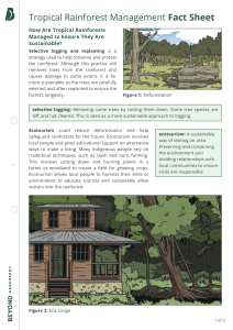 Sustainable Tropical Rainforest Management