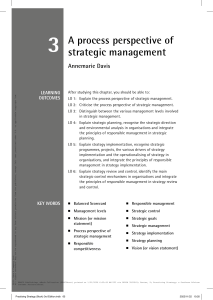 Strategic Management Process Perspective