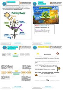 Photosynthesis Process Worksheet