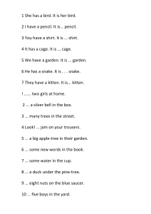 English Grammar: Pronouns & Articles Worksheet
