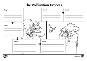 Seed Dispersal and Pollination Worksheet