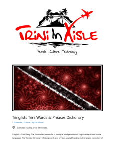 Tringlish: Trinidadian Slang Dictionary & Cultural Guide