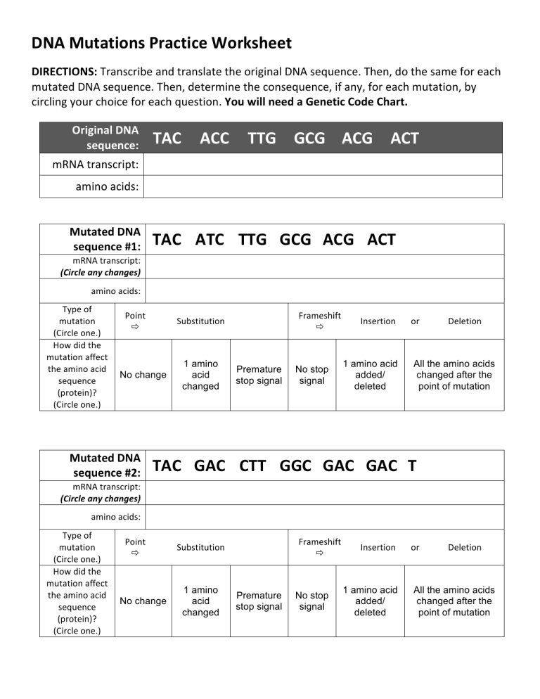 DNA Mutations Practice Worksheet