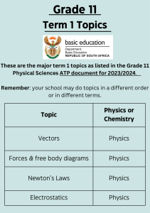 Grade 11 Physical Sciences Term 1 Study Guide: Vectors, Forces & Newton's Laws
