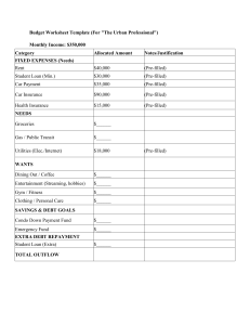 Budget Worksheet Template for Urban Professionals