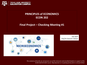 ECON 202 Economic Impact Analysis Project Guidelines