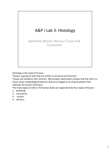 Introduction to Histology: Tissue Types