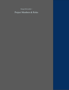 Engineering Project Roles: Aerospace, Marine, Software, Materials