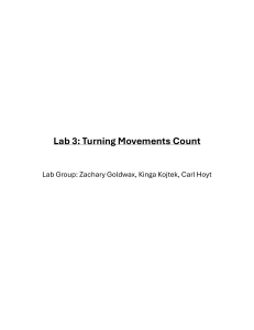 Lab 3: Turning Movements Count