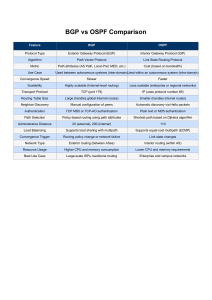 BGP vs OSPF Routing Protocol Comparison