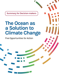 Ocean as Solution to Climate Change: Five Action Opportunities