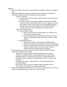 Nervous System Study Guide: CNS & PNS