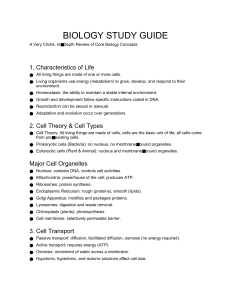 Biology Study Guide: Core Concepts Review
