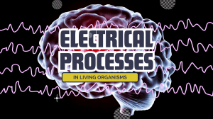 Electrical Processes in Living Organisms