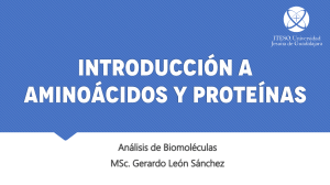 Introducci&oacute;n a Amino&aacute;cidos y Prote&iacute;nas