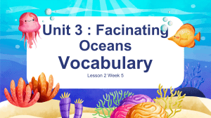 Ocean Animals & Adverbs Lesson
