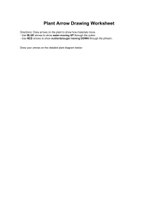 Plant Vascular Transport Worksheet