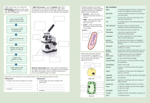Cell Structure and Function: Unicellular vs Multicellular Organisms