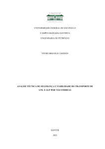 An&aacute;lise de Seguran&ccedil;a do Transporte Ferrovi&aacute;rio de GNL e GLP