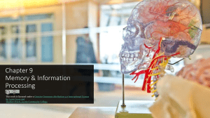 Chapter 9: Memory & Information Processing