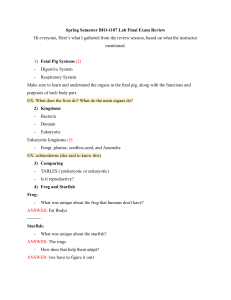 BIO-1107 Lab Final Exam Review: Comparative Anatomy & Taxonomy