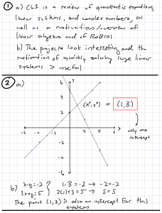 Introduction to Linear Algebra & Quadratic Equations