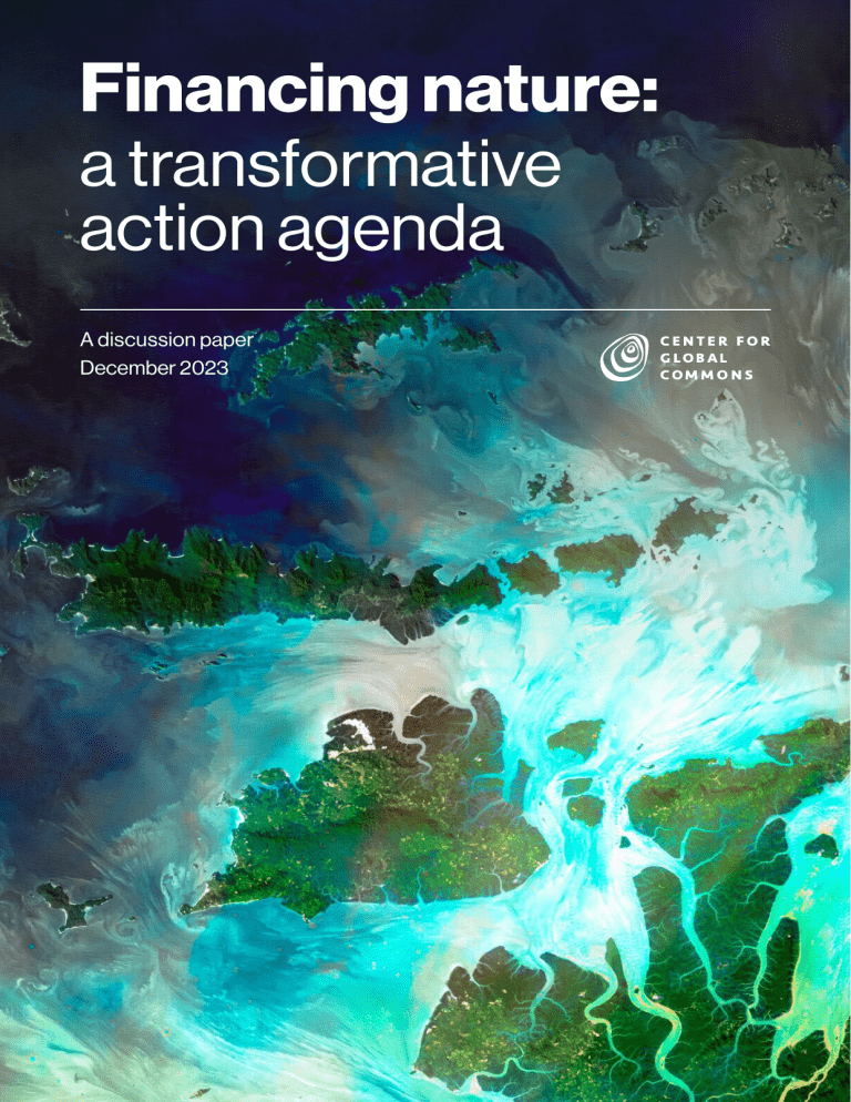 Financing Nature A Transformative Action Agenda Dec 2023
