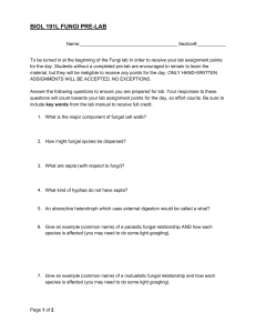 BIOL 191L Fungi Pre-Lab Assignment
