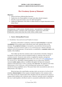 The Circulatory System of Mammals Pt 2.docx