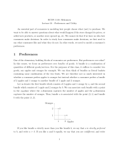 Economics Lecture Notes: Preferences and Utility Theory
