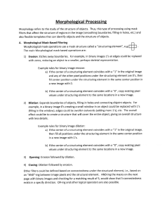 Morphological Processing in Computer Vision