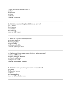 Wildebeest Quiz: Multiple Choice Questions & Answers