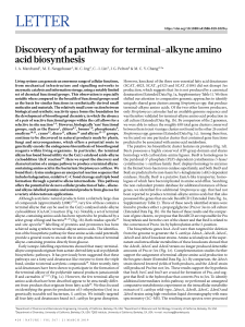 Discovery of Terminal-Alkyne Amino Acid Biosynthesis Pathway