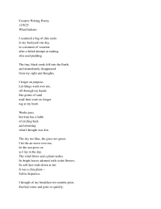 What Endures: A Chia Seed Poem on Memory and Growth