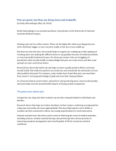 Pets and Mental Health: The Hidden Stress of Pet Ownership