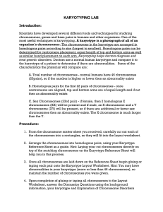 Karyotyping Lab