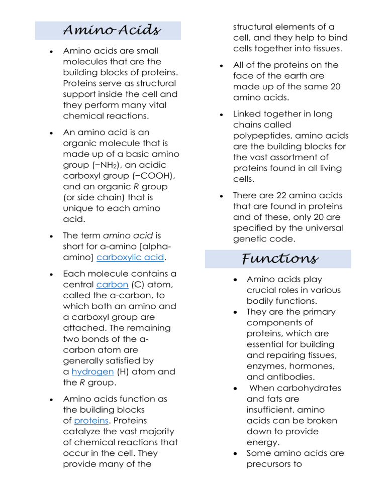 Ama Ino Amino Acids: Structure, Functions, and Types