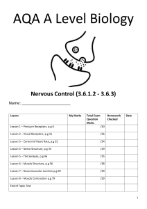 AQA A Level Biology Nervous Control