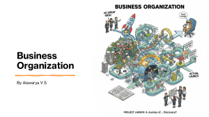 Business Organization: Types and Definitions