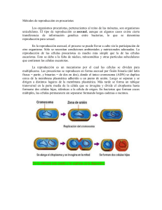 M&eacute;todos de reproducci&oacute;n en procariotas: Fisi&oacute;n binaria y paraseual