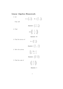 Linear Algebra Homework Problems with Answers