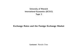 Exchange Rates and Foreign Exchange Market Lecture Notes