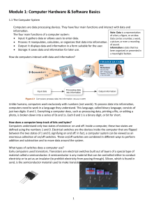 Computer Hardware & Software Basics