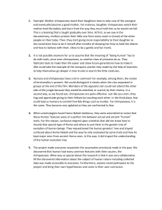 Chimpanzee Behavior and Human Evolution: Key Findings