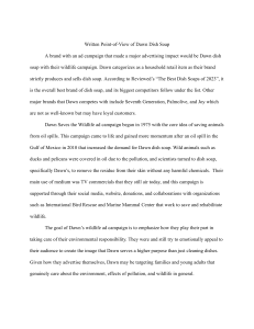 Dawn Dish Soap Wildlife Campaign Case Study