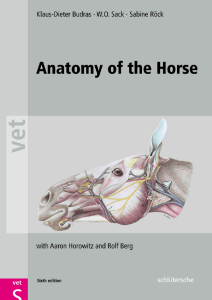 Anatomy of the Horse Sixth Edition Textbook