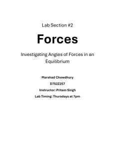 Lab Report: Forces in Equilibrium Experiment