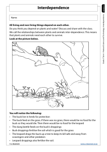 Grade 5 Interdependence Worksheet: Natural Science