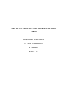 THC's Effects on Brain Development: Infancy to Adulthood